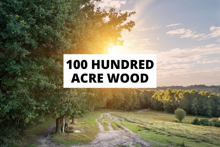 100 Acre Wood – Visit The Beautiful Home Of Winnie The Pooh!